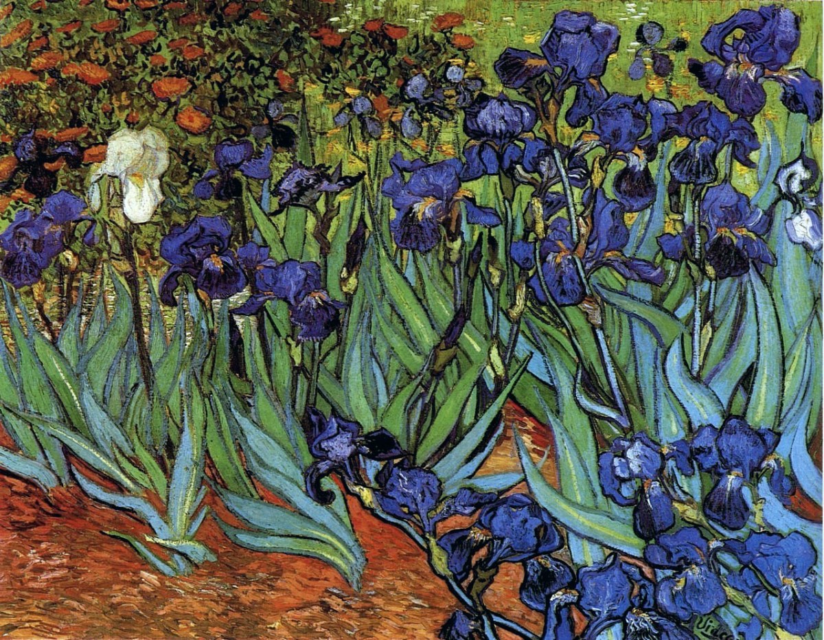 A Colorful Person: Vincent Van Gogh