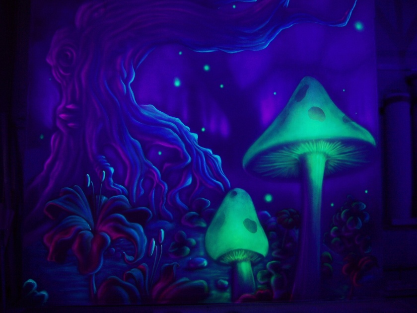 magic_mushrooms_by_tomlenz