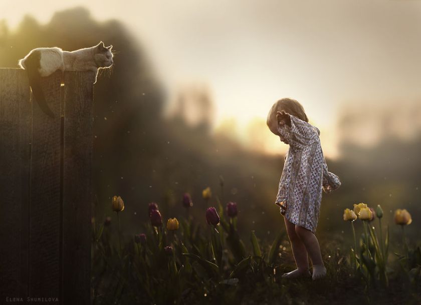 animal-children-photography-elena-shumilova-13 cat shadow girl
