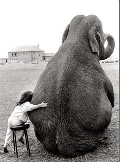 vintage girl and elephant friend